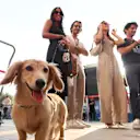 Leo knows his angles!