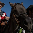 Ricciardo on a horse.jpg