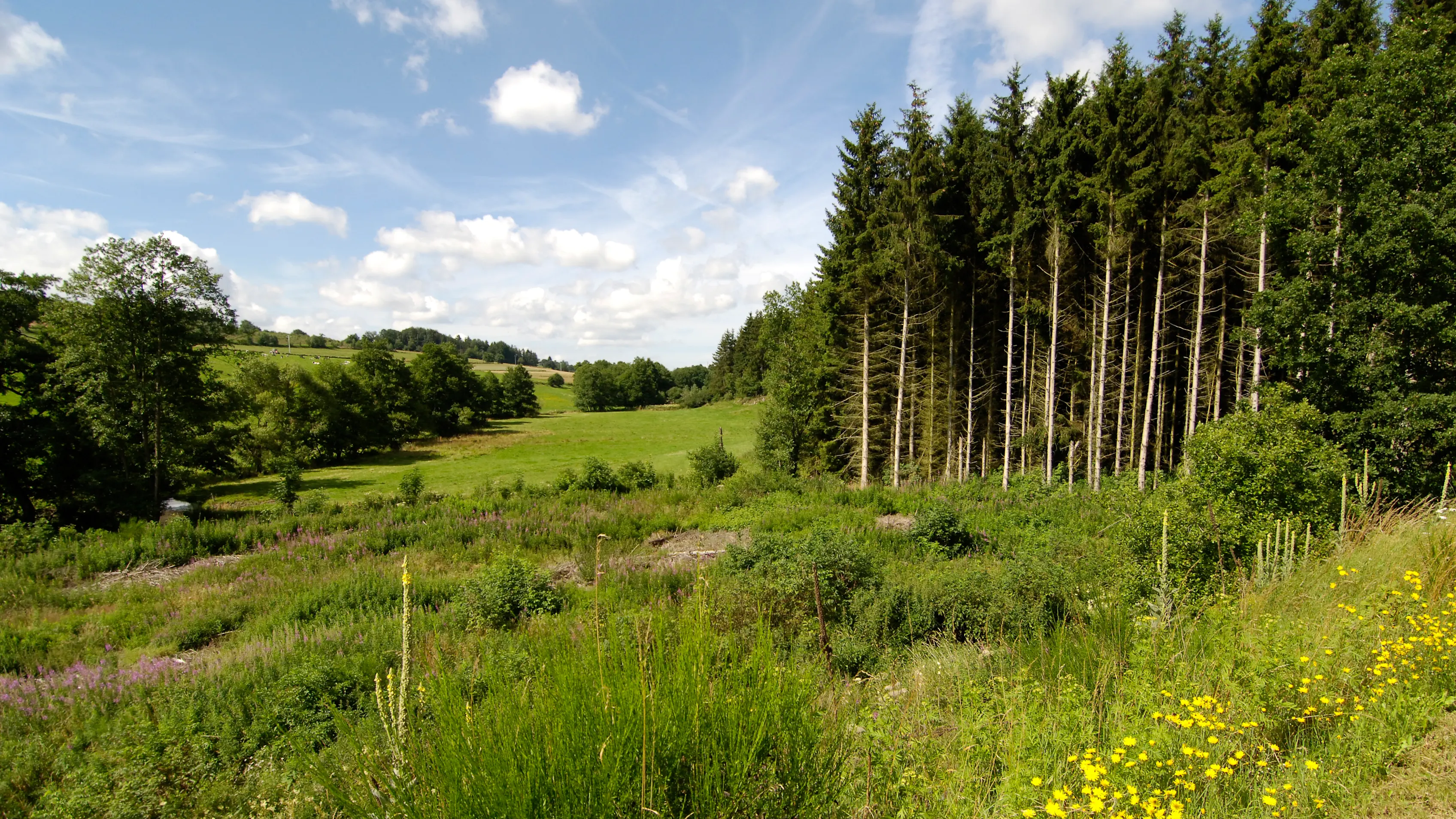 Bastogne-Wiltz - RAVeL