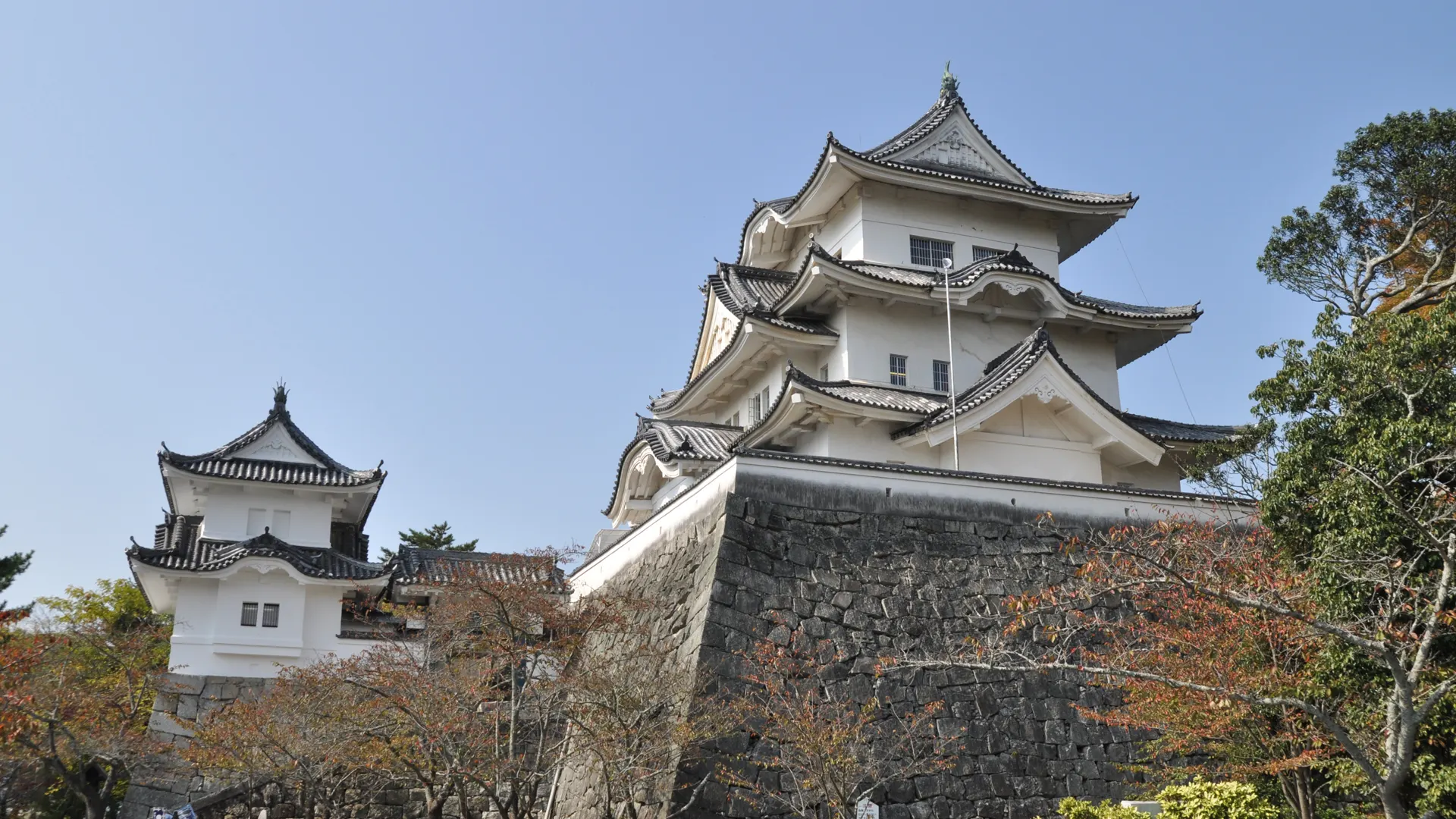 Iga_Ueno_Castle.JPG