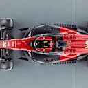 C43_Top_LM_ZHO_4-5.jpg