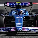 gasly.png