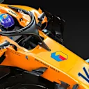 MCL33_FA_ed_2.jpg