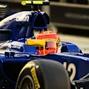 Felipe Nasr (BRA) Sauber C34 at Formula One World Championship, Rd19, Abu Dhabi Grand Prix, Practice, Yas Marina Circuit, Abu Dhabi, UAE, Friday 27 November 2015. © Sutton Motorsport Images