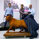 Departing Sebastian Vettel is presented with a bull statue by Red Bull's Christian Horner and Adrian Newey, Milton Keynes, December 2 2014. © Red Bull