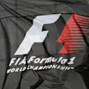FIA flag. Formula One World Championship, Rd16, Russian Grand Prix, Practice, Sochi Autodrom, Sochi, Krasnodar Krai, Russia, Friday, 10 October 2014. © Sutton Images