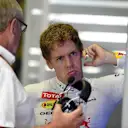 Sebastian Vettel (GER) Red Bull Racing and Dr Helmut Marko (AUT) Red Bull Motorsport Consultant. Formula One World Championship, Rd18, Brazilian Grand Prix, Practice, Sao Paulo, Brazil, Friday, 7 November 2014