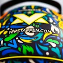 The back of Verstappen's Sao Paulo GP helmet