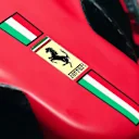 A close-up look at the sculpted nose