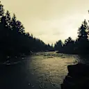 Mercedes' Lewis Hamilton took this photo for the Zoom charity auction. He says: “Let life flow like a river, follow the path it takes you down. Take it as it comes and whilst you learn along the way, may you help guide the flow in the direction of your dreams.”