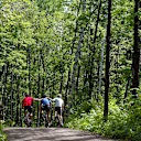 Forest cycling: a buzz for Brendon