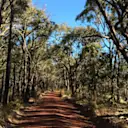 Shot taken by Jenson Button while mountain biking in Hepburn Springs, Australia. © Zoom