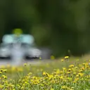 Flowers with Nico Rosberg (GER) Mercedes AMG F1 W06 in action in the background at Formula One World Championship, Rd8, Austrian Grand Prix, Practice, Spielberg, Austria, Friday 19 June 2015. © Sutton Motorsport Images