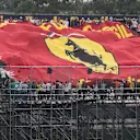 Ferrari Fans and Flag at Formula One World Championship, Rd18, Brazilian Grand Prix, Practice, Interlagos, Sao Paulo, Brazil, Friday 13 November 2015. © Sutton Motorsport Images