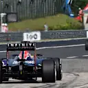 Daniel Ricciardo (AUS) Red Bull Racing RB11 at Formula One World Championship, Rd10, Hungarian Grand Prix, Practice, Hungaroring, Hungary, Friday 24 July 2015. © Sutton Motorsport Images