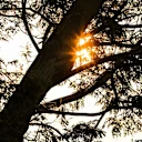 Sunlight at Formula One World Championship, Rd13, Singapore Grand Prix, Qualifying, Marina Bay Street Circuit, Singapore, Saturday 19  September 2015. © Sutton Motorsport Images