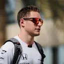 Stoffel Vandoorne (BEL) McLaren at Formula One World Championship, Rd21, Abu Dhabi Grand Prix, Practice, Yas Marina Circuit, Abu Dhabi, UAE, Friday 25 November 2016. © Sutton Images