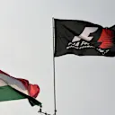 Flags at Formula One World Championship, Rd11, Hungarian Grand Prix, Race, Hungaroring, Hungary, Sunday 24 July 2016. © Sutton Images