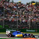 Felipe Nasr (BRA) Sauber C35 at Formula One World Championship, Rd14, Italian Grand Prix, Qualifying, Monza, Italy, Saturday 3 September 2016. © Sutton Images