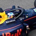 Daniel Ricciardo (AUS) Red Bull Racing RB12 with aeroscreen at Formula One World Championship, Rd4, Russian Grand Prix, Practice, Sochi Autodrom, Sochi, Krasnodar Krai, Russia, Friday 29 April 2016. © Sutton Motorsport Images