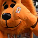 Max Verstappen (NED) Red Bull Racing fan in lion costume at Formula One World Championship, Rd9, Austrian Grand Prix, Preparations, Spielberg, Austria, Thursday 6 July 2017. © Sutton Images