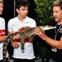 Marcus Ericsson (SWE) Alfa Romeo Sauber F1 Team and Charles Leclerc (MON) Alfa Romeo Sauber F1 Team at Formula One World Championship, Rd1, Australian Grand Prix, Preparations, Melbourne, Australia, Thursday 22 March 2018. © Mark Sutton/Sutton Images