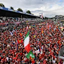 Fans at Formula One World Championship, Rd14, Italian Grand Prix, Race, Monza, Italy, Sunday 2 September 2018. © Jerry Andre/Sutton Images