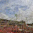 Ferrari fans at Formula One World Championship, Rd14, Italian Grand Prix, Race, Monza, Italy, Sunday 2 September 2018. © Mark Sutton/Sutton Images