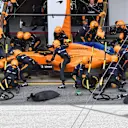 Stoffel Vandoorne (BEL) McLaren MCL33 pit stop at Formula One World Championship, Rd5, Spanish Grand Prix, Race, Barcelona, Spain, Sunday 13 May 2018. © Jerry Andre/Sutton Images