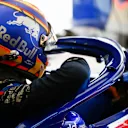 BAHRAIN INTERNATIONAL CIRCUIT, BAHRAIN - MARCH 29: Alexander Albon, Toro Rosso during the Bahrain GP at Bahrain International Circuit on March 29, 2019 in Bahrain International Circuit, Bahrain. (Photo by Andy Hone / LAT Images)