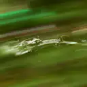 SUZUKA, JAPAN - OCTOBER 11: Valtteri Bottas driving the (77) Mercedes AMG Petronas F1 Team Mercedes W10 on track during practice for the F1 Grand Prix of Japan at Suzuka Circuit on October 11, 2019 in Suzuka, Japan. (Photo by Dan Istitene/Getty Images)