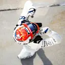 MONZA, ITALY - SEPTEMBER 06: Race winner Pierre Gasly of France and Scuderia AlphaTauri celebrates in parc ferme during the F1 Grand Prix of Italy at Autodromo di Monza on September 06, 2020 in Monza, Italy. (Photo by Mark Thompson/Getty Images)