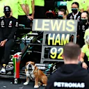 PORTIMAO, PORTUGAL - OCTOBER 25: Race winner Lewis Hamilton of Great Britain and Mercedes GP celebrates his record breaking 92nd race win with his dog Roscoe and his team after the F1 Grand Prix of Portugal at Autodromo Internacional do Algarve on October 25, 2020 in Portimao, Portugal. (Photo by Dan Istitene - Formula 1/Formula 1 via Getty Images)