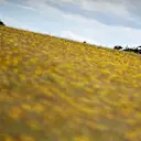 PORTIMAO, PORTUGAL - MAY 01: Sebastian Vettel of Germany driving the (5) Aston Martin AMR21 Mercedes during final practice for the F1 Grand Prix of Portugal at Autodromo Internacional Do Algarve on May 01, 2021 in Portimao, Portugal. (Photo by Clive Mason - Formula 1/Formula 1 via Getty Images)