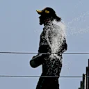 MEXICO CITY, MEXICO - OCTOBER 30: Second placed Lewis Hamilton of Great Britain and Mercedes celebrates on the podium during the F1 Grand Prix of Mexico at Autodromo Hermanos Rodriguez on October 30, 2022 in Mexico City, Mexico. (Photo by Clive Mason - Formula 1/Formula 1 via Getty Images)