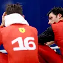 SINGAPORE, SINGAPORE - OCTOBER 02: Third placed Carlos Sainz of Spain and Ferrari and Second placed Charles Leclerc of Monaco and Ferrari talk in parc ferme during the F1 Grand Prix of Singapore at Marina Bay Street Circuit on October 02, 2022 in Singapore, Singapore. (Photo by Dan Istitene - Formula 1/Formula 1 via Getty Images)