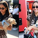 Leo has a habit of stealing the show in the paddock! Swipe for more