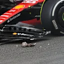 MONTE-CARLO, MONACO - MAY 28: Carlos Sainz of Spain driving (55) the Ferrari SF-23  passes a bird on track during the F1 Grand Prix of Monaco at Circuit de Monaco on May 28, 2023 in Monte-Carlo, Monaco. (Photo by Ryan Pierse/Getty Images)