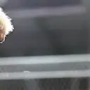JEDDAH, SAUDI ARABIA - MARCH 18: 17th placed qualifier Alexander Albon of Thailand and Williams walks in the Pitlane during qualifying ahead of the F1 Grand Prix of Saudi Arabia at Jeddah Corniche Circuit on March 18, 2023 in Jeddah, Saudi Arabia. (Photo by Mark Thompson/Getty Images)