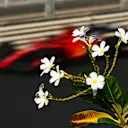 Charles Leclerc took over from team mate Sainz for the afternoon running