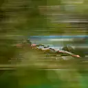 MELBOURNE, AUSTRALIA - MARCH 23: Esteban Ocon of France driving the (31) Alpine F1 A524 Renault on track during final practice ahead of the F1 Grand Prix of Australia at Albert Park Circuit on March 23, 2024 in Melbourne, Australia. (Photo by Quinn Rooney - Formula 1/Formula 1 via Getty Images)