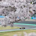 SUZUKA, JAPAN - APRIL 06: Oscar Piastri of Australia driving the (81) McLaren MCL38 Mercedes on track during final practice ahead of the F1 Grand Prix of Japan at Suzuka International Racing Course on April 06, 2024 in Suzuka, Japan. (Photo by Clive Rose - Formula 1/Formula 1 via Getty Images)