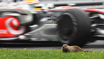 I4ZGt3ajE6oirkpplX-zofPRKCpjSvQj