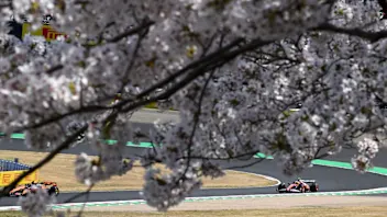 Hamilton Japan.jpg