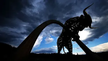 SPIELBERG, AUSTRIA - JUNE 30: A general view of the Red Bull statue during previews ahead of the