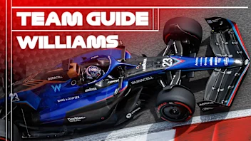 williamsTeam-guides.jpg