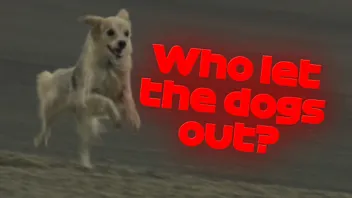 t2NTF1ajE6lW417i_dcBj7PcELG13fDO