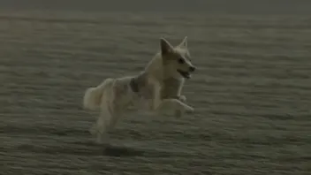 xkcXR0ajE6MB1yZTWMuK4Adi-mCh-qmI