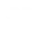 Racing Bulls