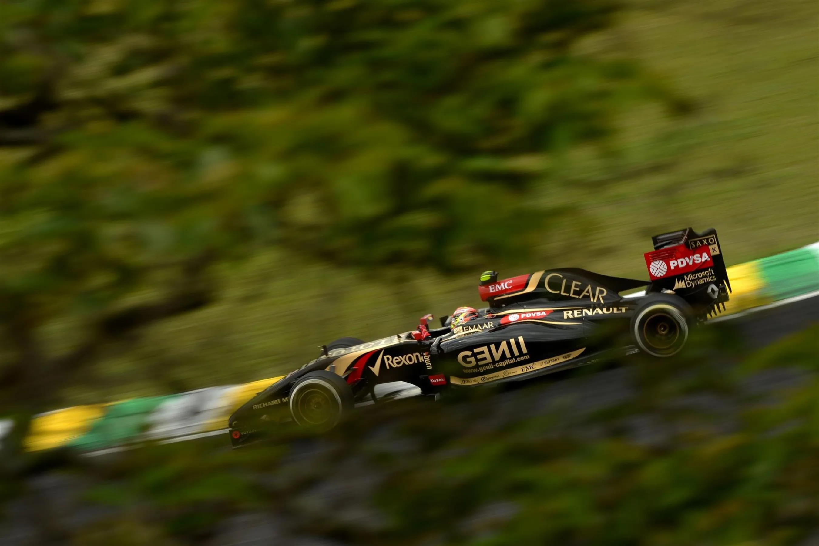 N249-sutton-2013-dne1408no11.jpg
